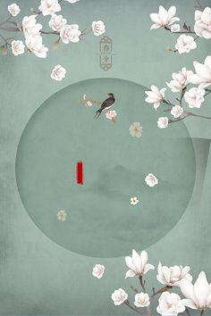 暴走黑料